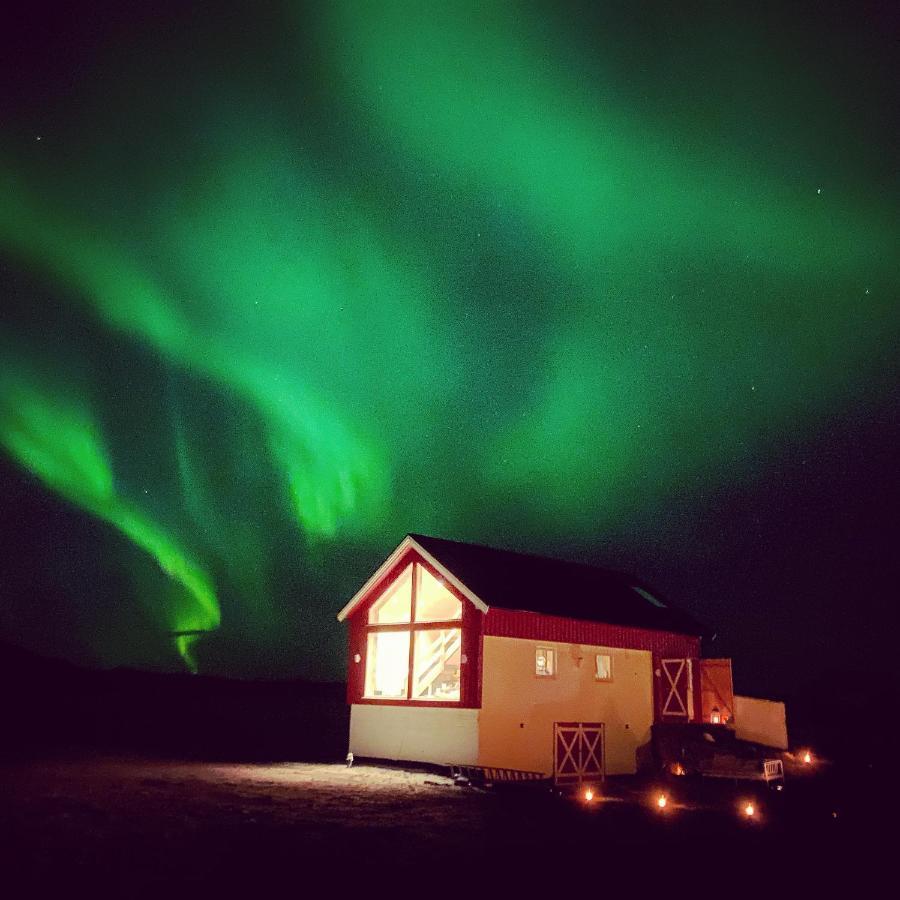 Unique Barnhouse In Amazing Gimsoy In Lofoten Saupstad  Kültér fotó
