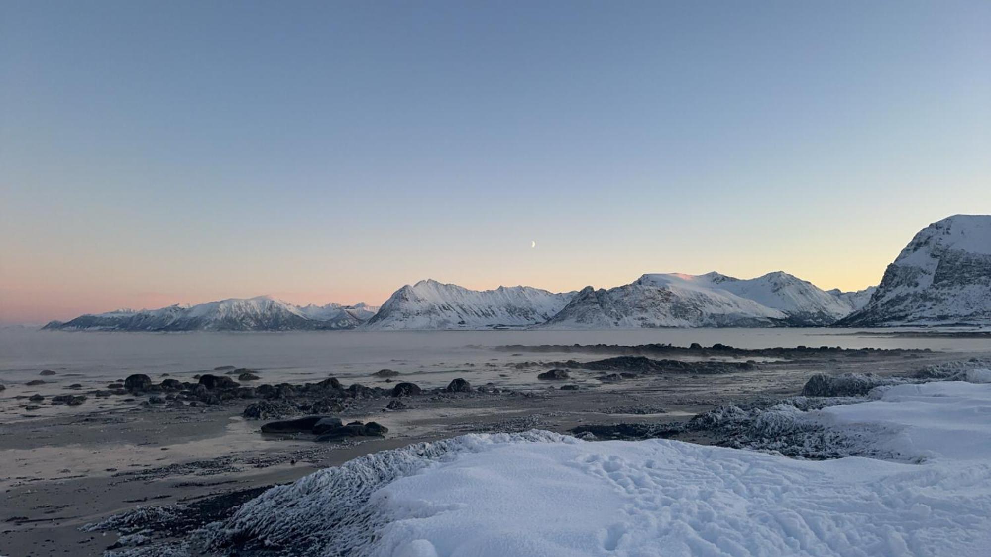 Unique Barnhouse In Amazing Gimsoy In Lofoten Saupstad  Kültér fotó